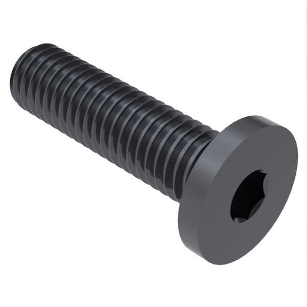 Hardware Specialty M4 X 6mm Long, Extra Low Head Socket Cap Screw. 10
