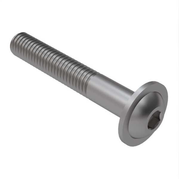 Hardware Specialty 1/2" 13 X 3" L Flanged Button Head Socket Cap Screw, Stainless Steel