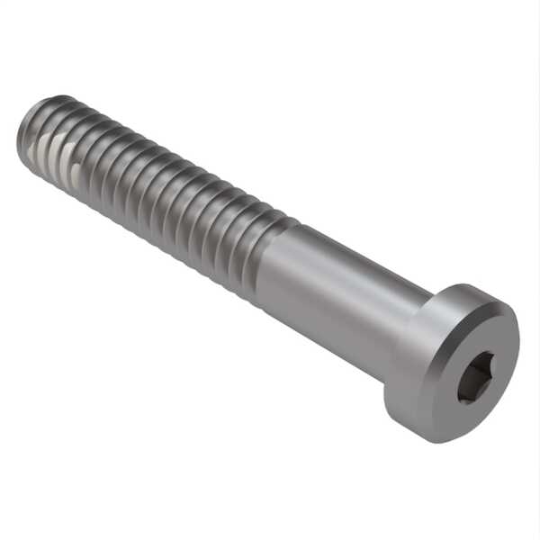 Hardware specialty m4 x 40mm long low head socket cap screw 316