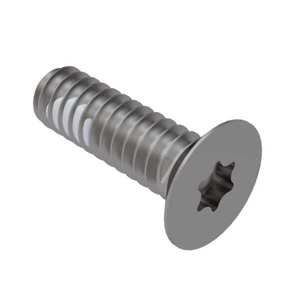 TORA様 8-32 - TORX - Designer Chicago Screw - SS - (Spanner) - (1ea