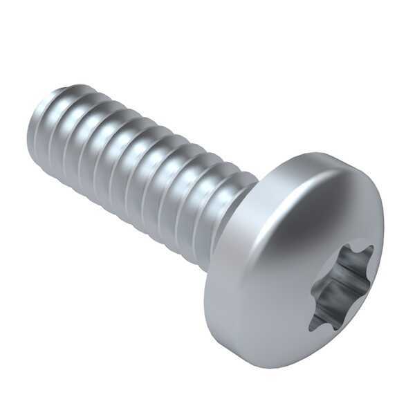 Hardware Specialty M6 X 35 Mm Long Torx Pan Head Machine Screw 