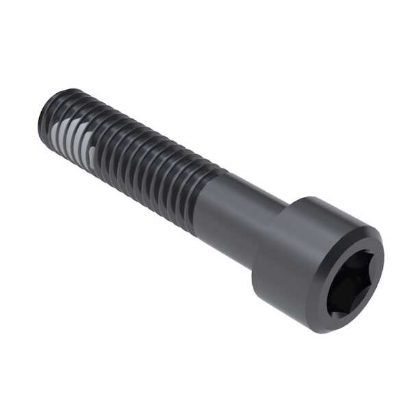 hardware-specialty-m5-x-120mm-long-socket-head-cap-screw-alloy