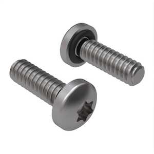 Zago M4 X 5mm L, Torx, Pan Head Sealing Screw, Stainless Steel, Buna O-Ring