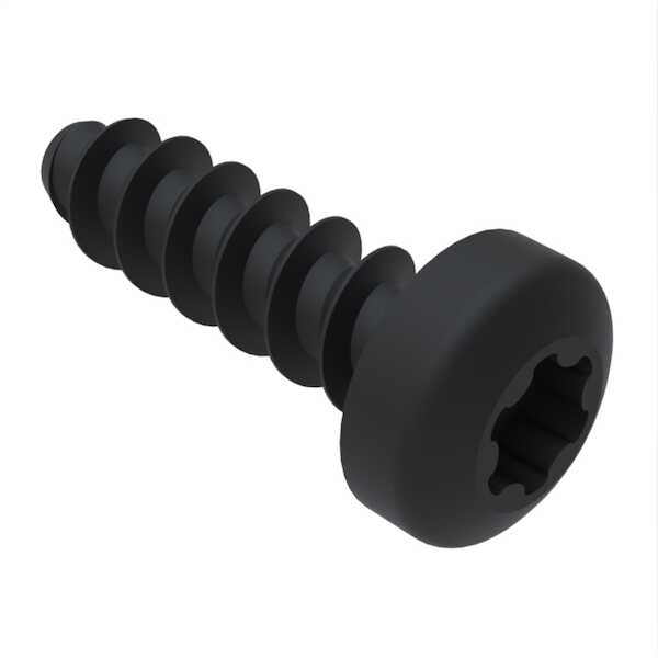 Hardware specialty m2 2 x 7mm long pan head pt screw torx plus