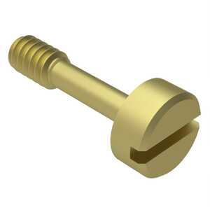 Lyn-Tron 10-32 Brass Captive Panel Screw, Type 6, 27/32"L