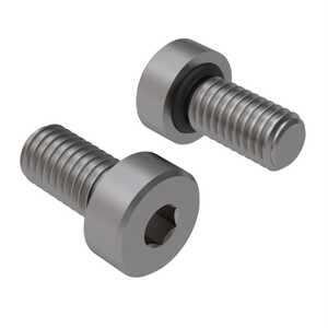 Zago M5 X 4mm L, Hex, Low Head Socket Cap Sealing Screw, Stainless Steel, Buna O-Ring