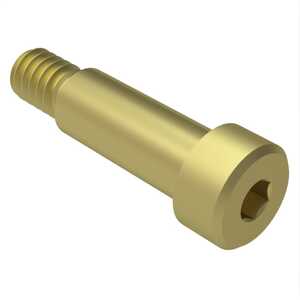 Lyn-tron 1/2" x 1" L Socket Precision Shoulder Screw, Brass.